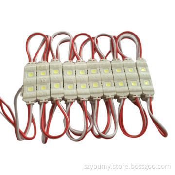 LED Module Injection Molding, SMD5050 2 LED/Piece, DC 12V